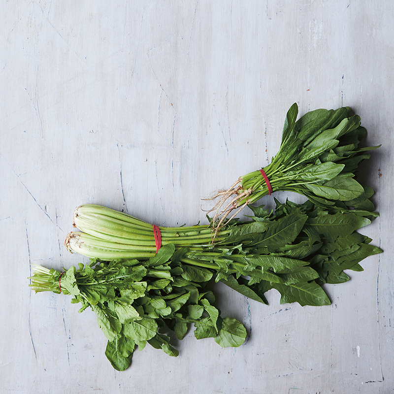 How to store leafy greens to keep them fresh